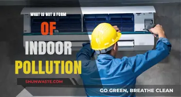 Understanding Indoor Air Quality: Avoiding Pollution Sources