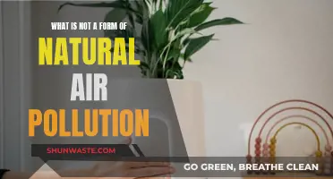 Air Pollution: What's Not Harming Our Planet?