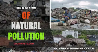 Natural Pollution: What's Not Harming Our Planet?