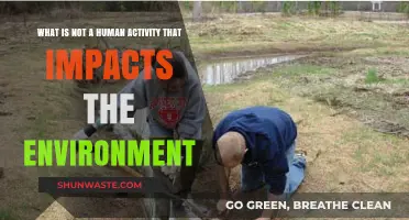 Natural Phenomena vs. Human Actions: What Doesn't Harm the Environment?