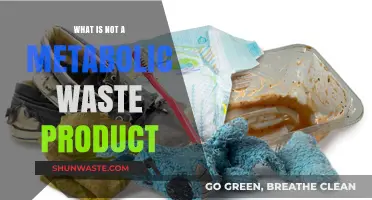 Unveiling Non-Metabolic Waste: What Doesn’t Count as a Byproduct?