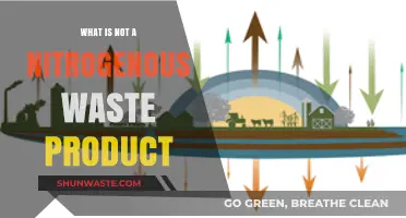 Unveiling Non-Nitrogenous Waste: What Doesn’t Fit the Category?