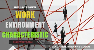 Beyond the Tangible: Exploring Non-Physical Work Environment Traits