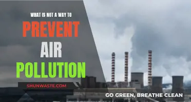 Preventing Air Pollution: What Not to Do