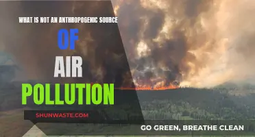 Anthropogenic Air Pollution: What's Not Caused by Humans?
