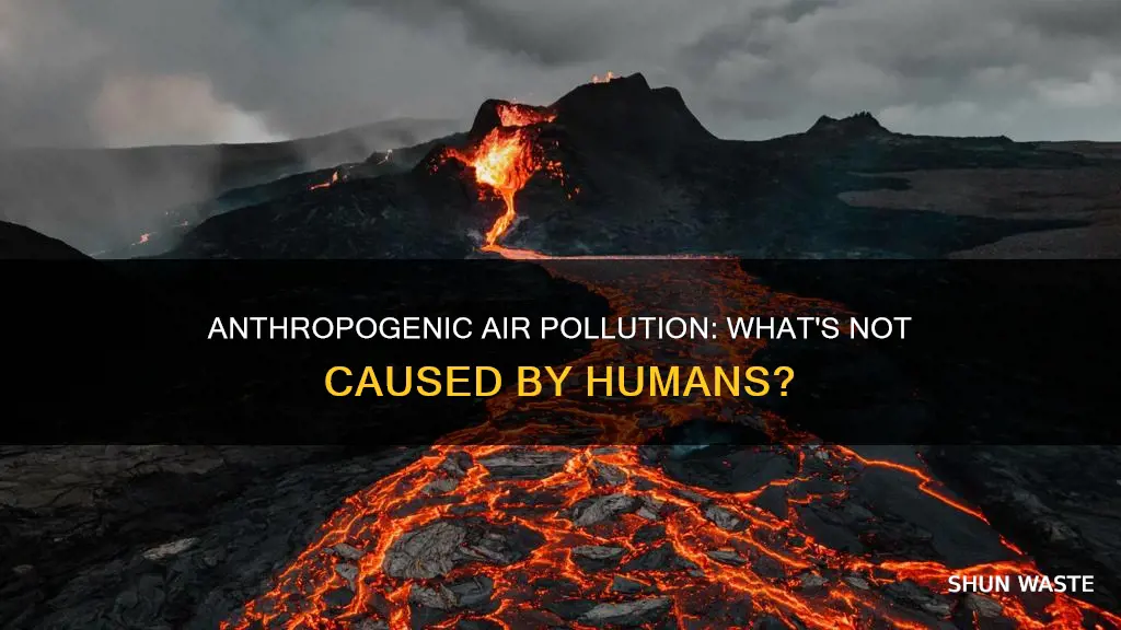 what is not an anthropogenic source of air pollution