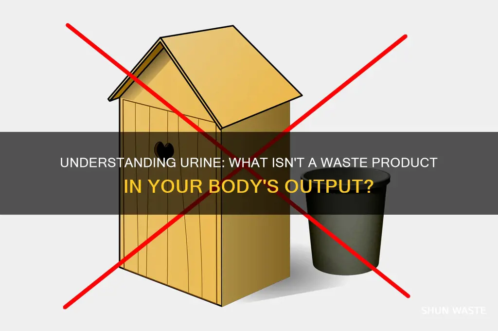 what is not an example a waste product of urine