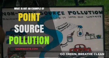 Point Source Pollution: Understanding Non-Examples