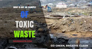 Understanding Non-Toxic Waste: What Doesn't Harm Our Environment?