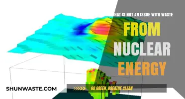 Debunking Myths: Waste from Nuclear Energy Isn't Always a Problem