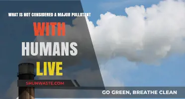 Human Pollutants: What's Not Harming Our Environment?