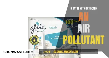 Air Quality: What Doesn't Pollute the Air?