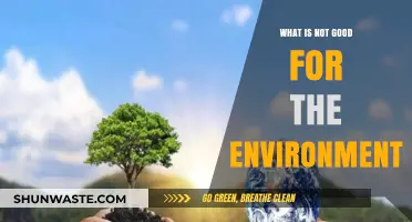 Harmful Habits and Practices Damaging Our Planet's Health and Future