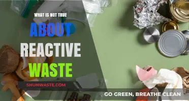 Debunking Common Myths About Reactive Waste: What’s Not True?