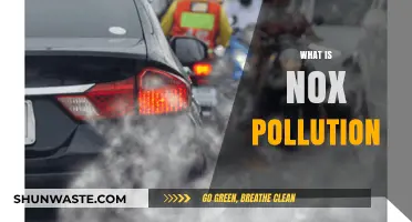 Understanding Nox Pollution: A Growing Environmental Concern