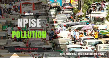 Understanding NPI: A Growing Pollution Concern
