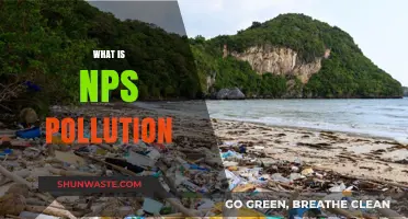 Understanding the Impact of NPS Pollution