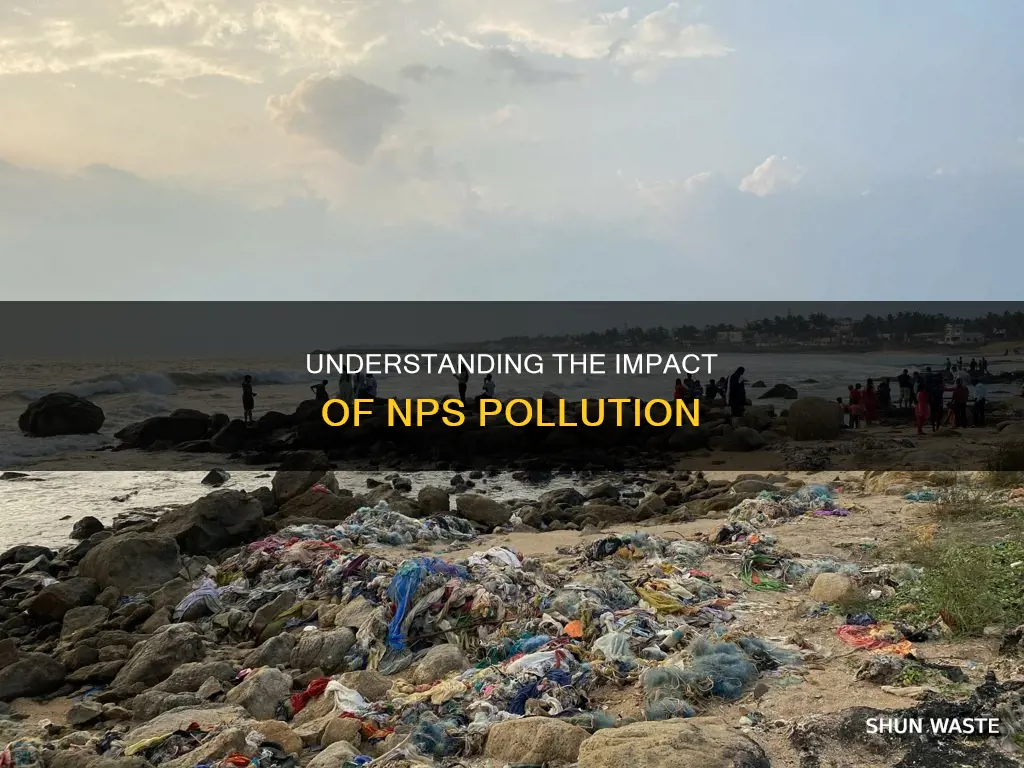 what is nps pollution