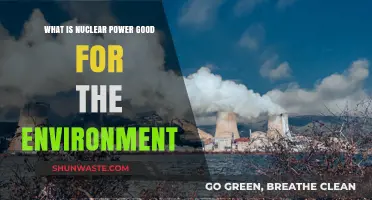 Nuclear Power: A Clean Energy Solution for Environmental Sustainability