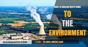 Nuclear Waste's Environmental Impact: Pollution, Risks, and Long-Term Consequences