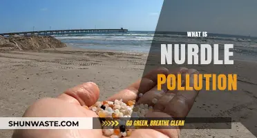 Plastic Pellet Pollution: What Are Nurdles?