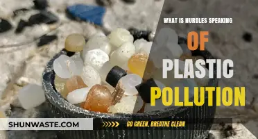 Nurdles: Plastic Pollution's Tiny, Toxic Troublemakers