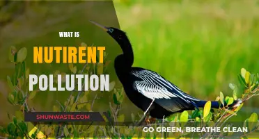 Nutrient Pollution: Understanding the Unseen Threat