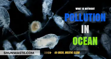 Ocean Nutrient Pollution: Understanding the Threat