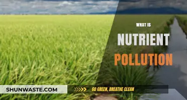 Nutrient Pollution: A Threat to Our Waterways