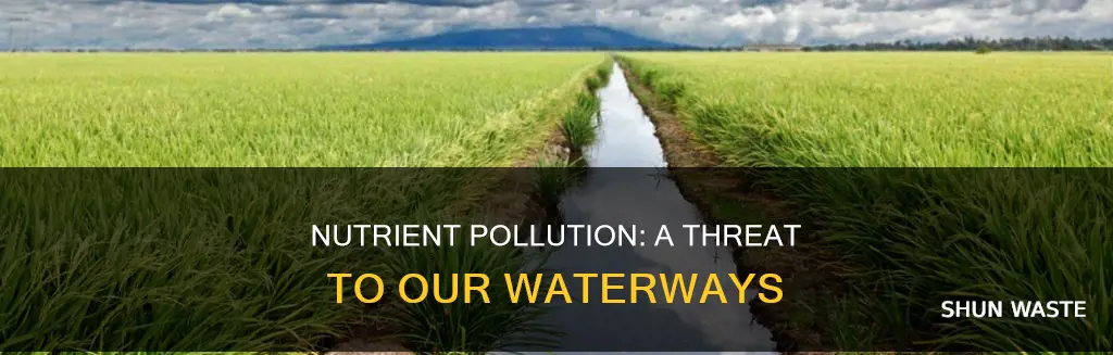 what is nutrient pollution