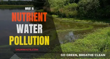 Understanding Nutrient Water Pollution: Causes and Solutions