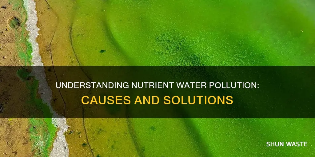 what is nutrient water pollution