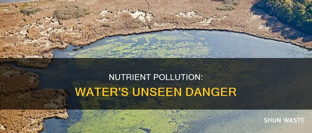 what is nutrient water pollution