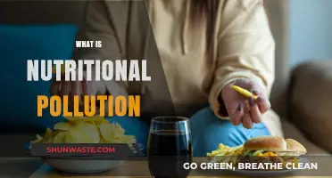 Nutritional Pollution: The Unseen Threat to Our Health