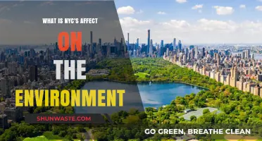 NYC's Environmental Impact: Urban Challenges and Sustainable Solutions