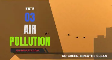 Understanding O3: The Silent Air Pollutant