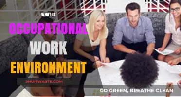Understanding Occupational Work Environments: Key Factors and Their Impact