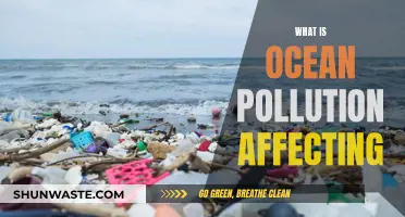 Ocean Pollution: Harming Marine Life and Coastal Communities