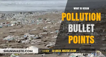 Ocean Pollution: Understanding the Impact and Causes