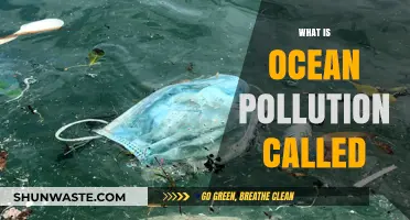 Ocean Pollution: A Global Crisis