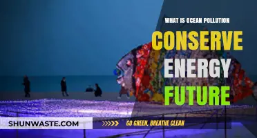 Ocean Pollution: Energy Conservation's Future Foe