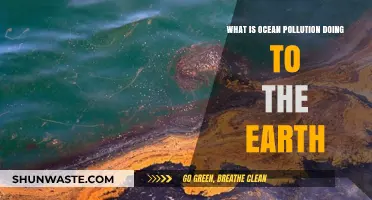 Ocean Pollution: Devastating Impact on Our Planet