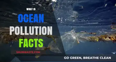 Ocean Pollution: Devastating Facts and Figures