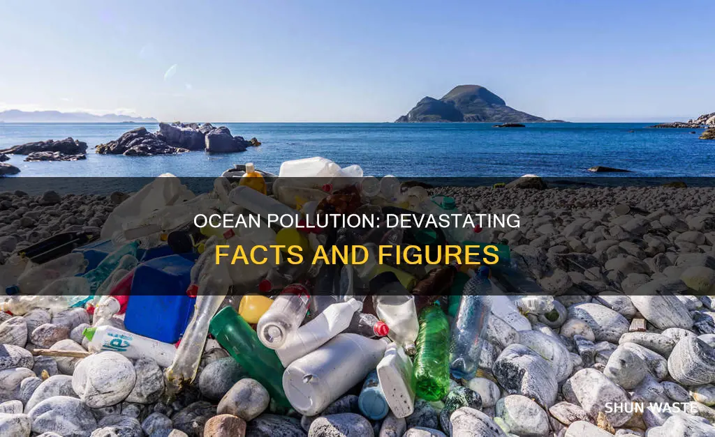 what is ocean pollution facts