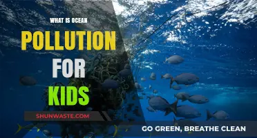 Ocean Pollution: A Threat to Marine Life