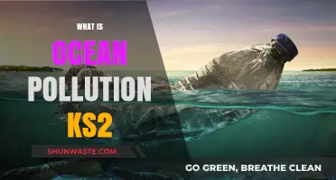 Ocean Pollution: A Threat to Marine Life