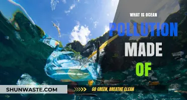 Ocean Pollution: Understanding the Toxic Cocktail