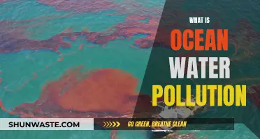 Unveiling the Hidden Dangers: Understanding Ocean Water Pollution