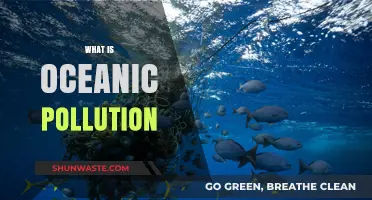 Oceanic Pollution: Understanding the Devastating Impact on Our Seas