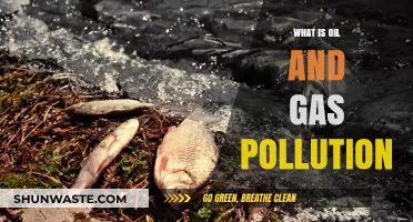 Oil and Gas Pollution: A Growing Environmental Concern